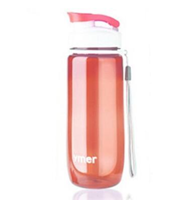 Water Bottle 560ml