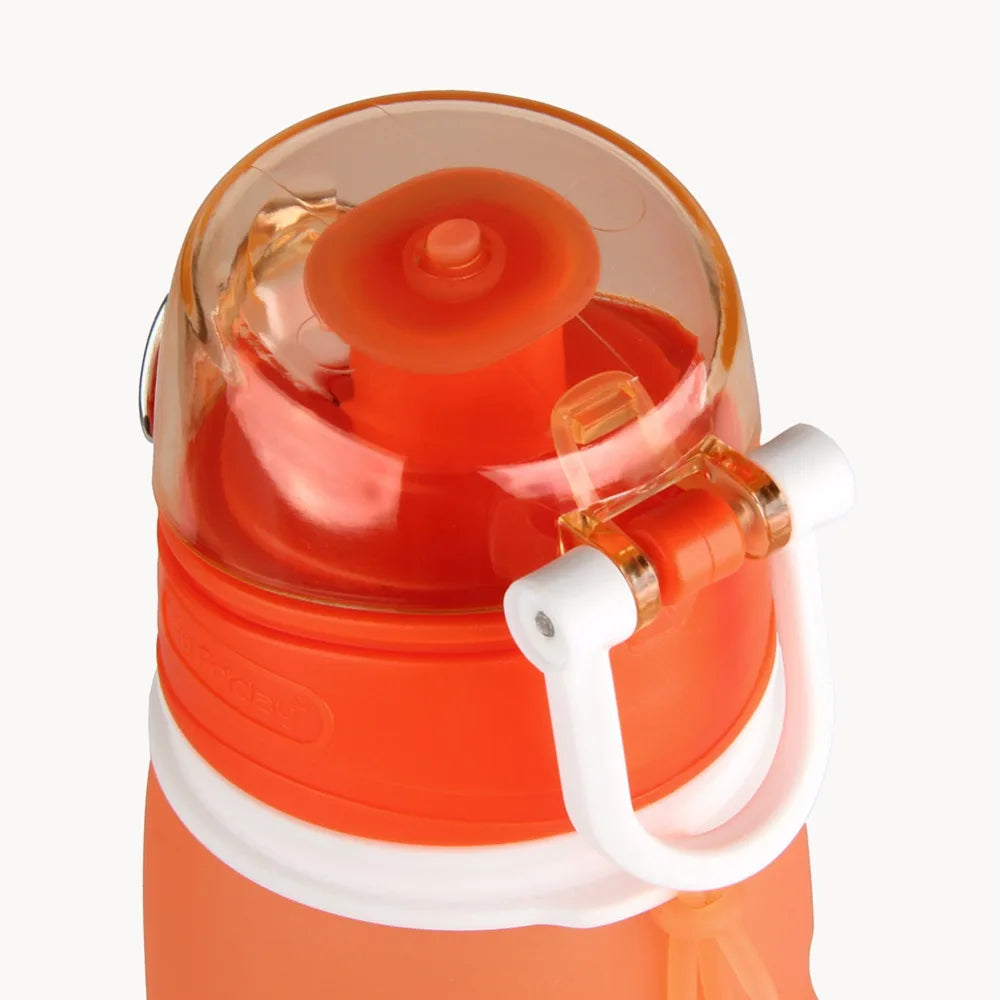 750ML Collapsible Silicone Water Bottle