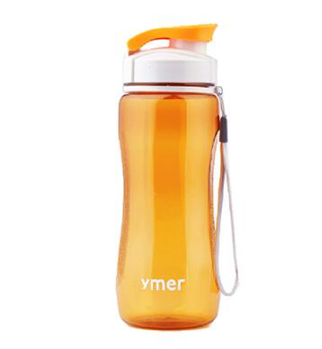 Water Bottle 560ml