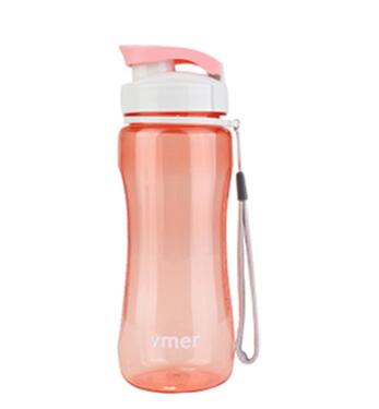 Water Bottle 560ml